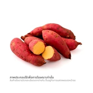 pdc_วี อาร์ เฟร็ช มันหวานเบนิฮารุกะจีน 1 กก.