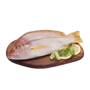 pdc_Yellow Stripe Sea Bass 500-700 G Per Pc.
