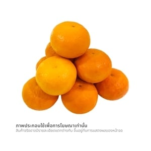pdc_วี อาร์ เฟร็ช ส้มแมนดารินไต้หวัน
