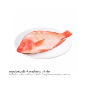 pdc_วี อาร์ เฟร็ช ปลาทับทิม ตัวละ