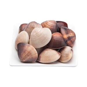 pdc_Frozen Hard Shell Clam Per Kg