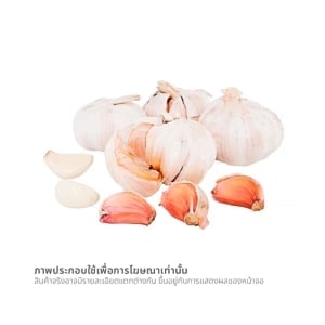 pdc_วี อาร์ เฟร็ช กระเทียมจีนตัดจุก กก.ละ