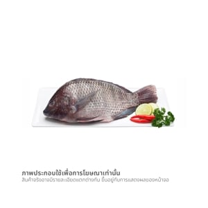 pdc_วี อาร์ เฟร็ช ปลานิล (เฉลี่ย 800-1000 ก./ตัว)