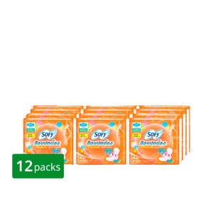 pdc_โซฟี ขอบปกป้องใยไหม สลิม ผ้าอนามัยแบบมีปีก สำหรับกลางวัน ขนาด 22 ซม. 4 ชิ้น แพ็ค 12