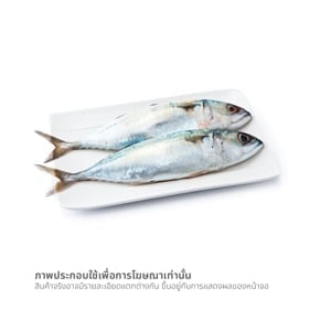 pdc_ปลาทู ขนาดเล็ก (เฉลี่ย 80-100 ก./ตัว) ตัวละ