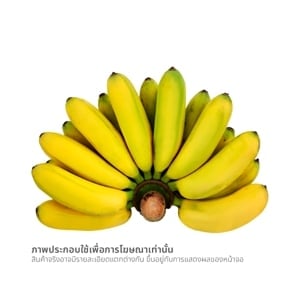 pdc_กล้วยไข่