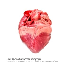 pdc_วี อาร์ เฟร็ช หัวใจหมู