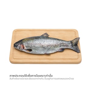 pdc_วี อาร์ เฟร็ช ปลาเทราต์สด กก.ละ (ขนาด 5-6 กก.)