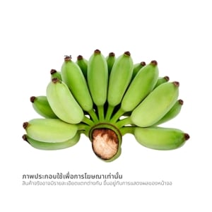 pdc_กล้วยน้ำว้า