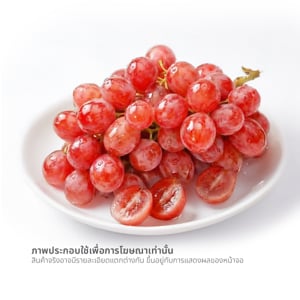 pdc_องุ่นแดงไร้เมล็ด ออสเตรเลีย