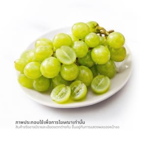 pdc_องุ่นเขียวไร้เมล็ด ออสเตรเลีย