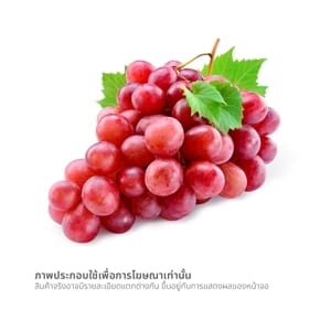 pdc_องุ่นแดงนอก กก.ละ