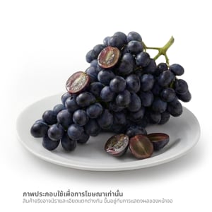 pdc_องุ่นดำไร้เมล็ด ออสเตรเลีย