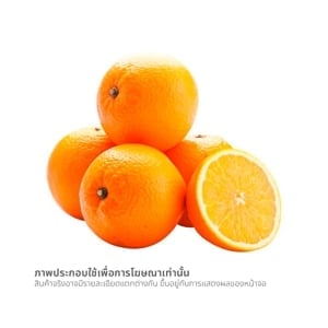pdc_วี อาร์ เฟร็ช ส้มนาเวล (GSA)
