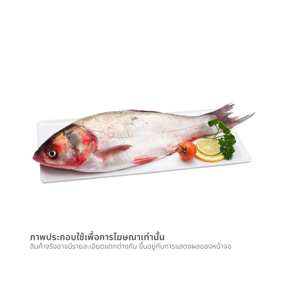 pdc_ปลาจีน ขนาด 800-1200 ก. / ตัว