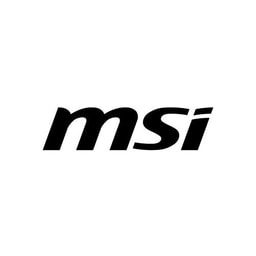 MSI