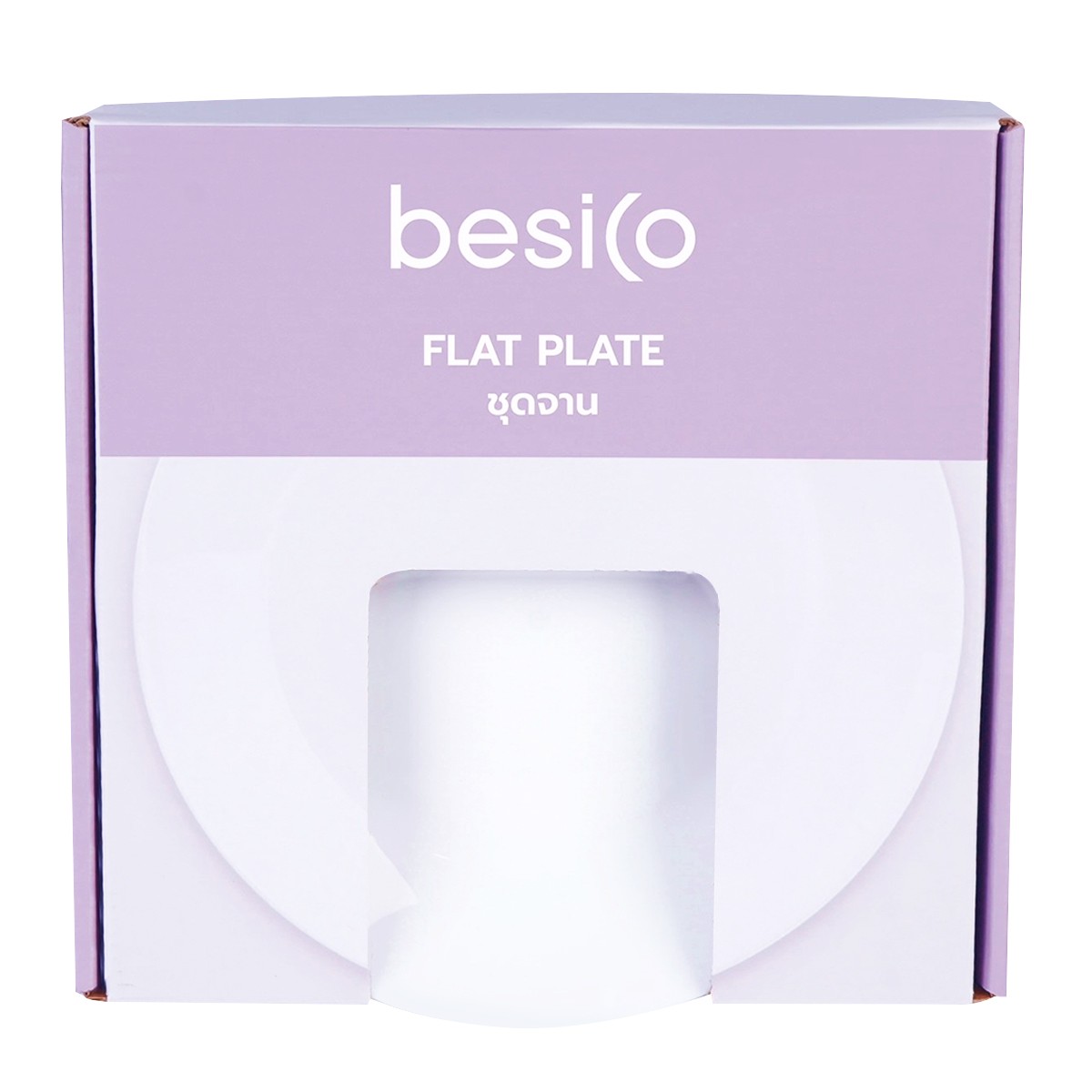 BESICO 10" Flat Plate Model. NMP100T-4 x 4 pcs.