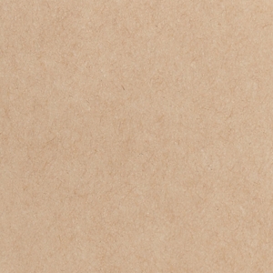BIG C HAPPY PRICE Paper Bag Large 5X9"  Brown Pack 10_4