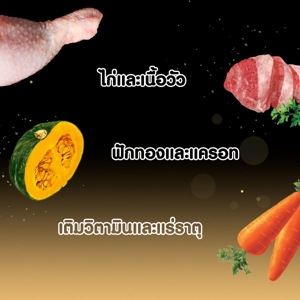 ซีซาร์ อาหารสุนัขชนิดเปียก สูตรเนื้อพร้อมผักในน้ำเกรวี่ 70 ก._2