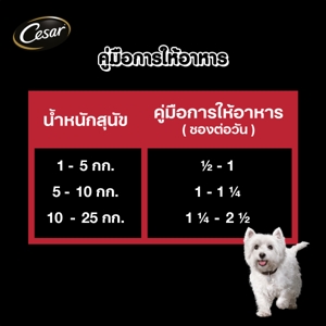 ซีซาร์ อาหารสุนัขชนิดเปียก สูตรเนื้อพร้อมผักในน้ำเกรวี่ 70 ก._5
