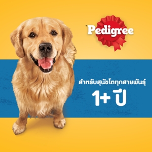 เพดดิกรี อาหารสุนัขชนิดเม็ด รสเนื้อวัวและผัก 3 กก._7