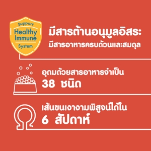 เพดดิกรี อาหารสุนัขชนิดเม็ด สำหรับสุนัขโตพันธุ์เล็ก รสเนื้อวัว แกะและผัก 8 กก._4