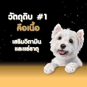 ซีซาร์ อาหารสุนัขชนิดเปียก รสแกะ 100 ก._4
