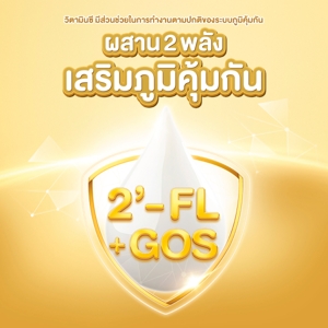 FOREMOST UHT Milk Product Omega Smart Super Gold 4 Plus Plain 180 ml. x 27 units_6