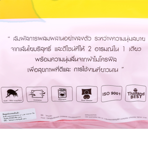 SATIN Plus Pillow Model PL031 Size 19 x 29 cm._2