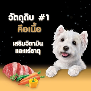 ซีซาร์ อาหารสุนัขชนิดเปียก รสเนื้อวัวและผัก 100 ก._5