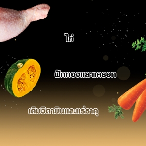 ซีซาร์ อาหารสุนัขชนิดเปียก สูตรเนื้อไก่พร้อมแครอทและฟักทองในเจลลี่ 70 ก._2