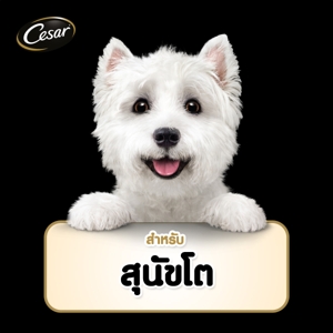 ซีซาร์ อาหารสุนัขชนิดเปียก สูตรเนื้อไก่พร้อมแครอทและฟักทองในเจลลี่ 70 ก._4