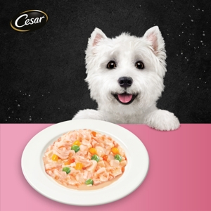 ซีซาร์ อาหารสุนัขชนิดเปียก สูตรเนื้อไก่พร้อมแครอทและฟักทองในเจลลี่ 70 ก._6