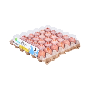 WE ARE FRESH Fresh Egg No. 3 30 pcs._2