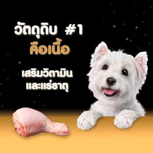 ซีซาร์ อาหารสุนัขชนิดเปียก รสไก่ 100 ก._5
