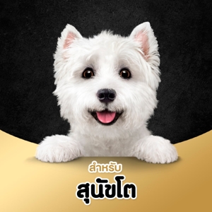 ซีซาร์ อาหารสุนัขชนิดเปียก รสไก่ 100 ก._7