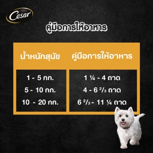 ซีซาร์ อาหารสุนัขชนิดเปียก รสไก่ 100 ก._8