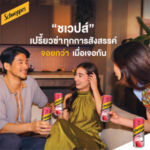 SCHWEPPES Crafted Fusions Zero Sugar Lychee & Sakura 330 ml._5