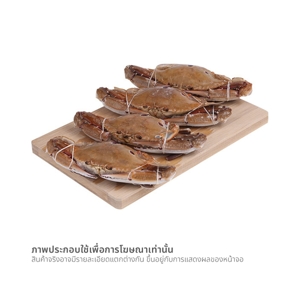 ปูดาว (150-250 ก./ตัว)