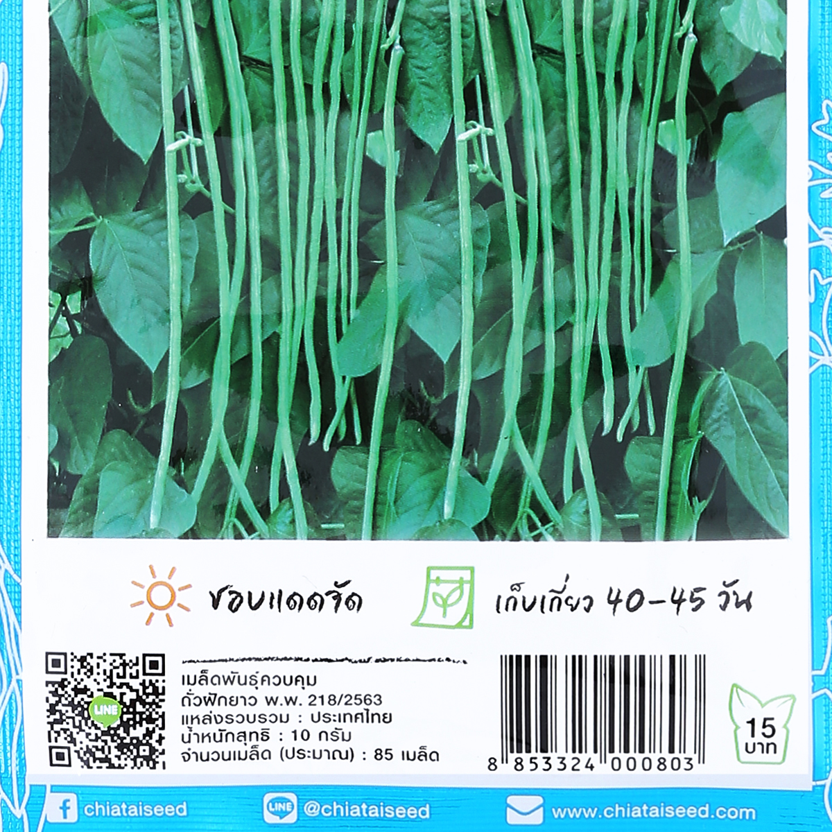 เจียไต๋ โฮมการ์เด้น เมล็ดถั่วฝักยาว ถั่วเส้น 10 ก._1