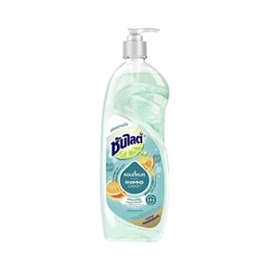 Sunlight Plus Antibac Dish Detergent Lemon Mint 750ml. Bottle