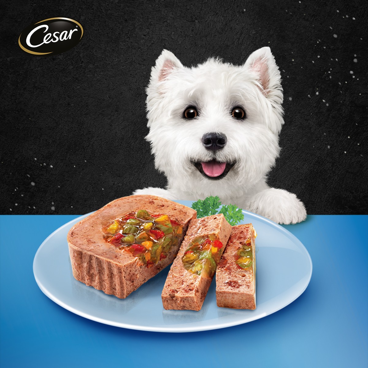 ซีซาร์ อาหารสุนัขชนิดเปียก รสไก่และผัก 100 ก._3