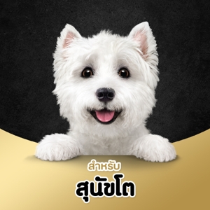 ซีซาร์ อาหารสุนัขชนิดเปียก รสไก่และผัก 100 ก._thumbnail_7