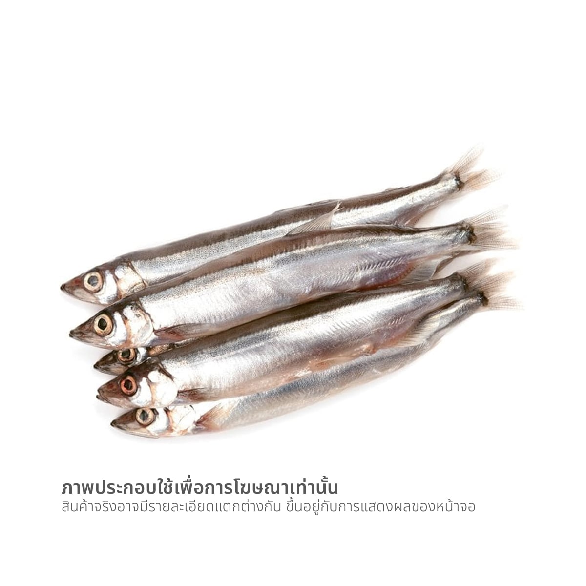 ปลาไข่ แช่แข็ง