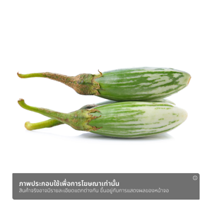 วี อาร์ เฟร็ช มะเขือเสวย 100 ก._thumbnail_1