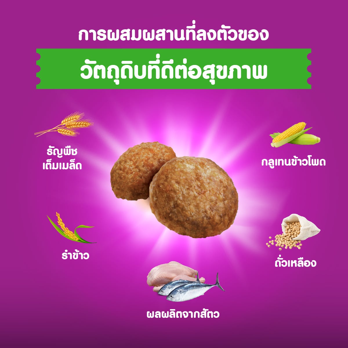 วิสกัส อาหารแมวชนิดเม็ด สำหรับแมวโต สูตรดูแลระบบทางเดินปัสสาวะ 1.1กก_5