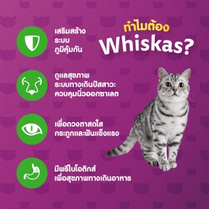 วิสกัส อาหารแมวชนิดเม็ด สำหรับแมวโต สูตรดูแลระบบทางเดินปัสสาวะ 1.1กก_thumbnail_4