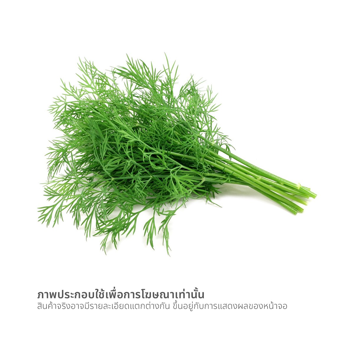 วี อาร์ เฟร็ช ผักชีลาว 50 ก._1