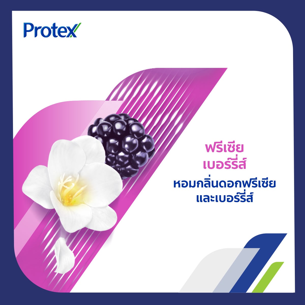 โพรเทคส์ ครีมอาบน้ำ เพอร์ฟูม ฟรีเซีย แอนด์ เบอร์รี่ส์ 450 มล._4