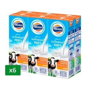 Foremost UHT Milk Plain 225ml. Pack 6